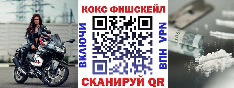 Купить закладки  Электросталь  Cocaine FishScale 