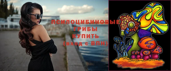 твердый Снежногорск