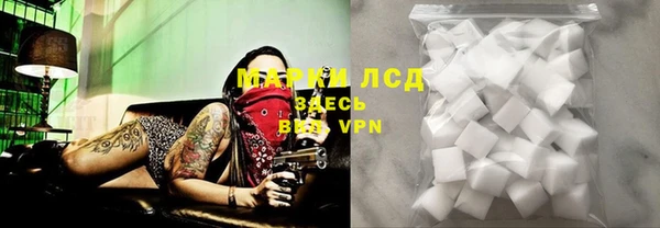 твердый Снежногорск