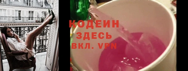твердый Снежногорск
