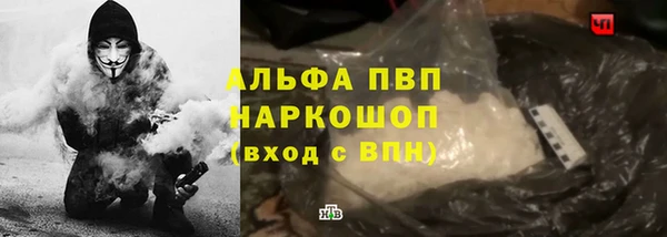 твердый Снежногорск