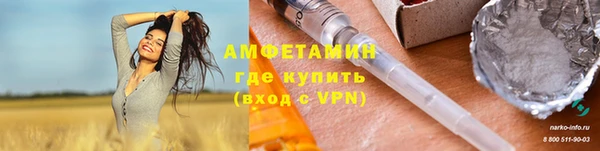 твердый Снежногорск