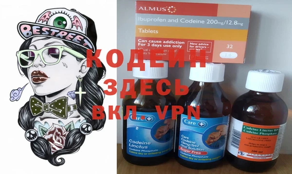 твердый Снежногорск
