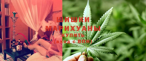 твердый Снежногорск