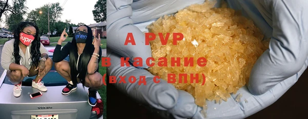 твердый Снежногорск